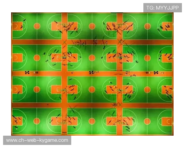 中国篮球文化逐渐深入人心，中国的篮球文化现状